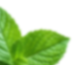 hoja_1