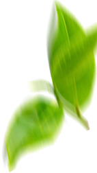 hoja_2