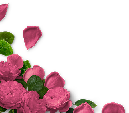 Flower_1